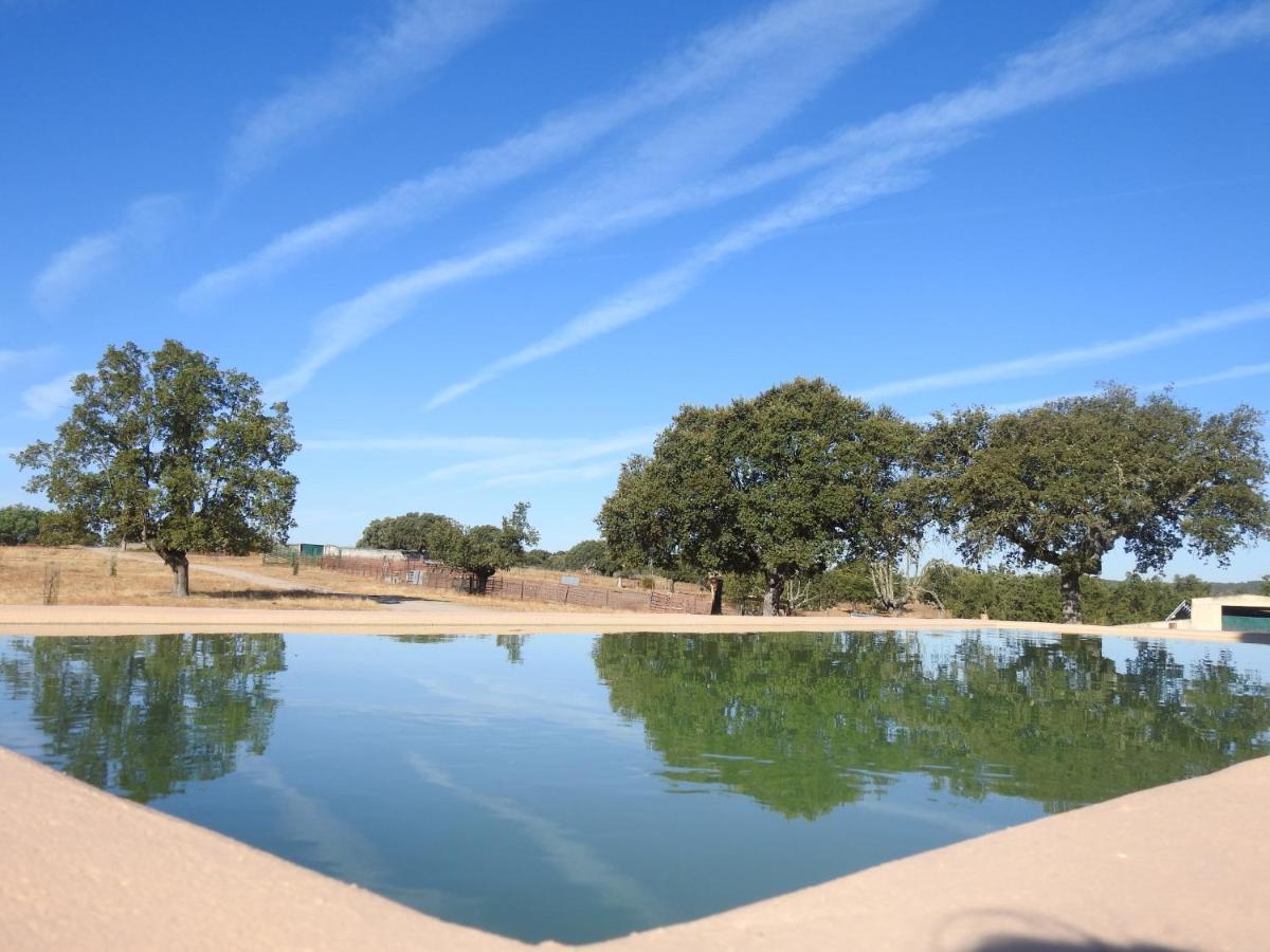 Eco-Lodge En La Reserva Privada Campanarios De Azaba - Proyecto De Conservacion Espeja エクステリア 写真