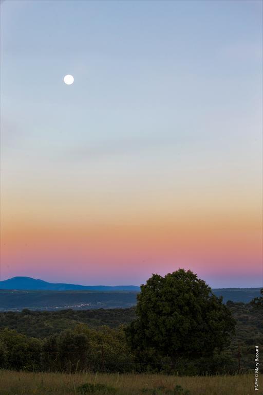 Eco-Lodge En La Reserva Privada Campanarios De Azaba - Proyecto De Conservacion Espeja エクステリア 写真