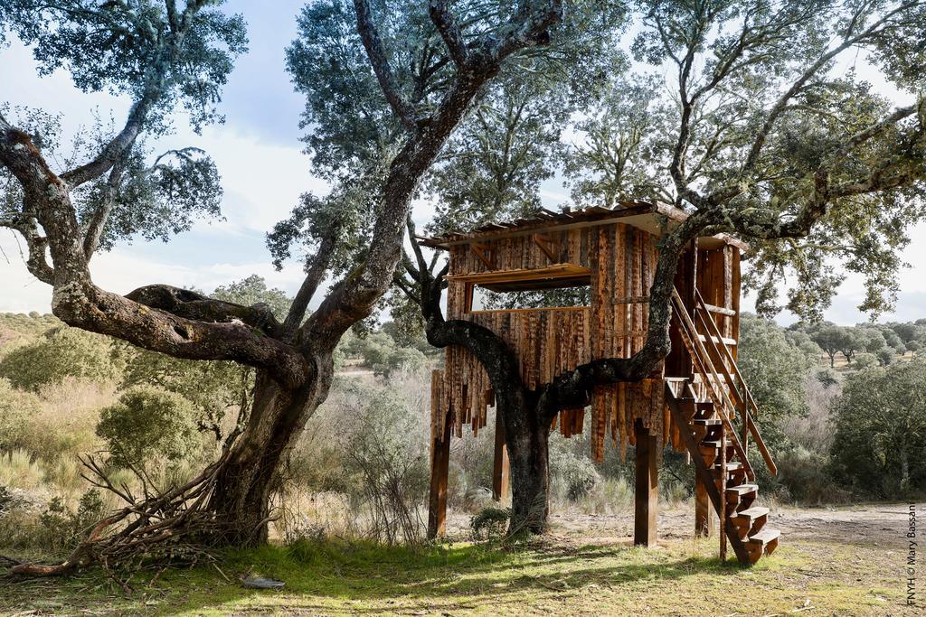 Eco-Lodge En La Reserva Privada Campanarios De Azaba - Proyecto De Conservacion Espeja エクステリア 写真