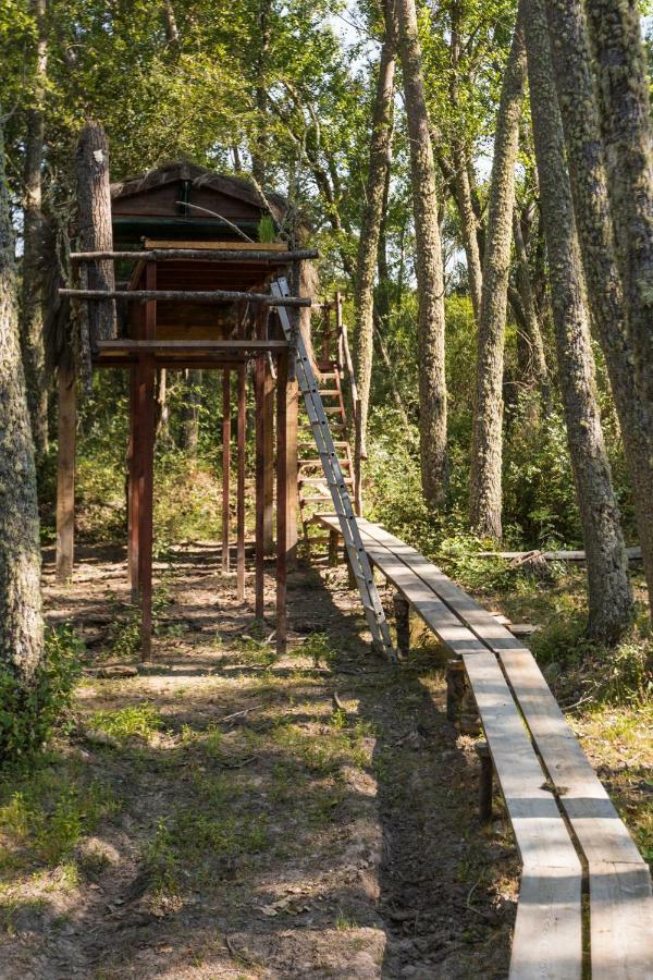 Eco-Lodge En La Reserva Privada Campanarios De Azaba - Proyecto De Conservacion Espeja エクステリア 写真