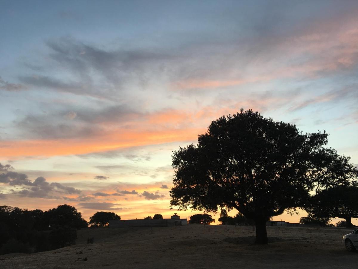 Eco-Lodge En La Reserva Privada Campanarios De Azaba - Proyecto De Conservacion Espeja エクステリア 写真
