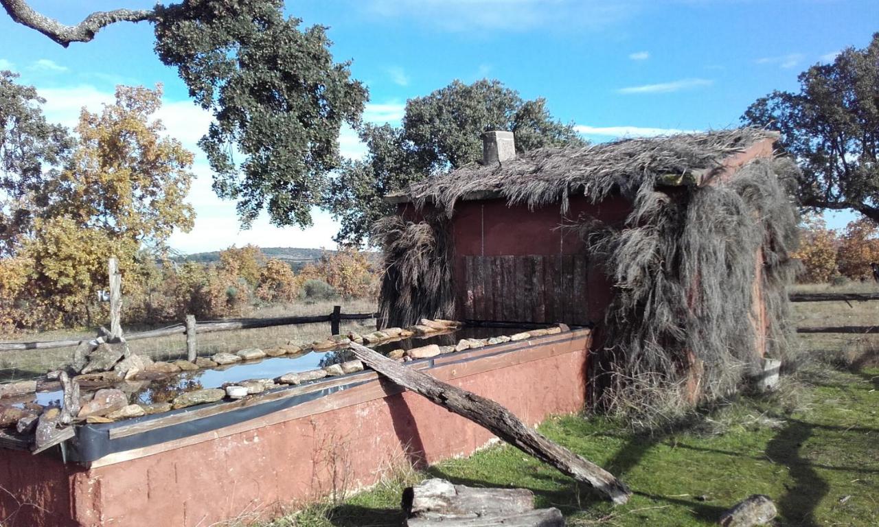 Eco-Lodge En La Reserva Privada Campanarios De Azaba - Proyecto De Conservacion Espeja エクステリア 写真